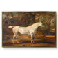 Grey Arabian Stallion, Property of Sir Watkin Williams-Wynn, c. 1817 - Floater Framed Canvas Print