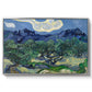Olive Trees with the Alpilles in the Background, 1889 - Floater Framed Canvas Print