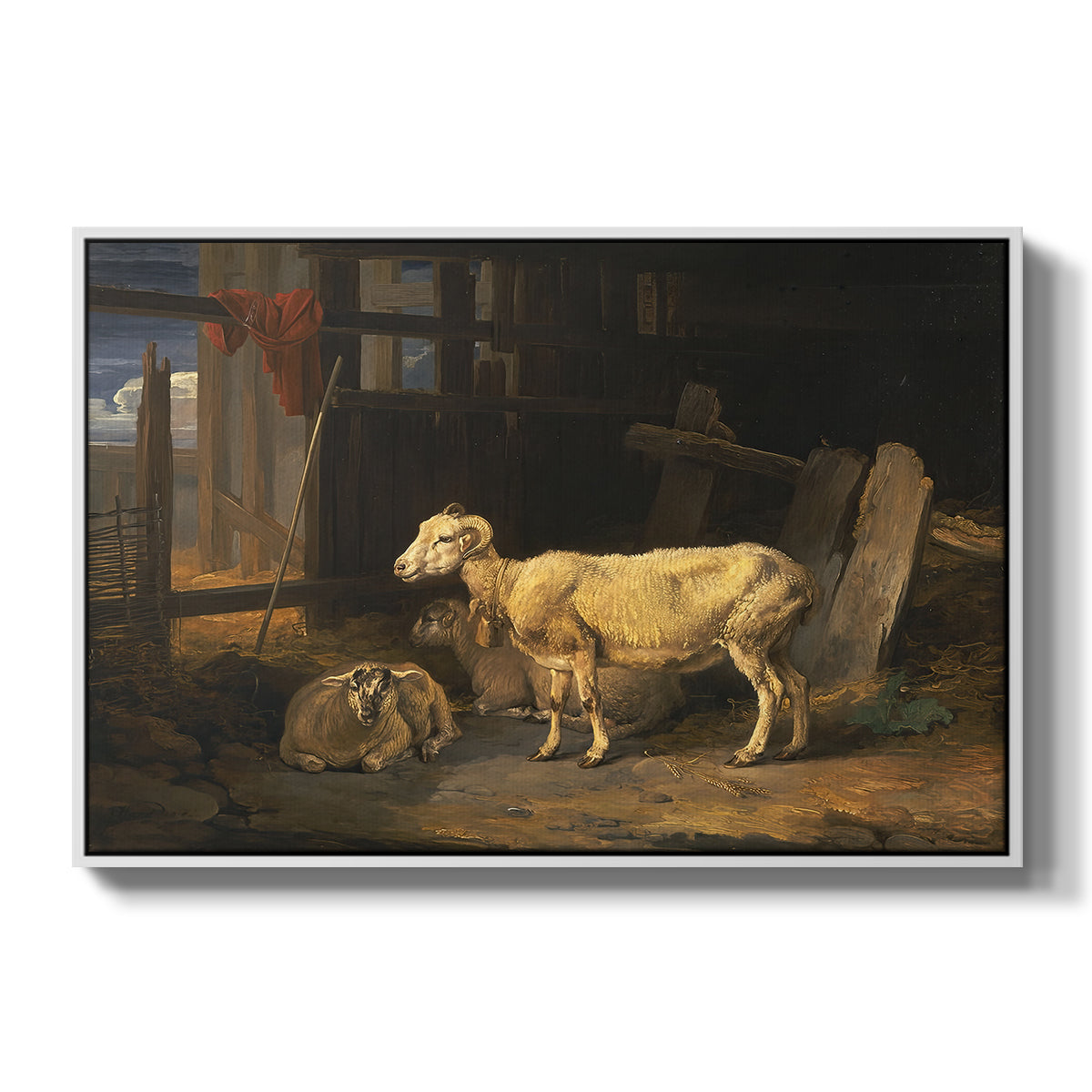 Sheep in a Stable, 1810 - Floater Framed Canvas Print