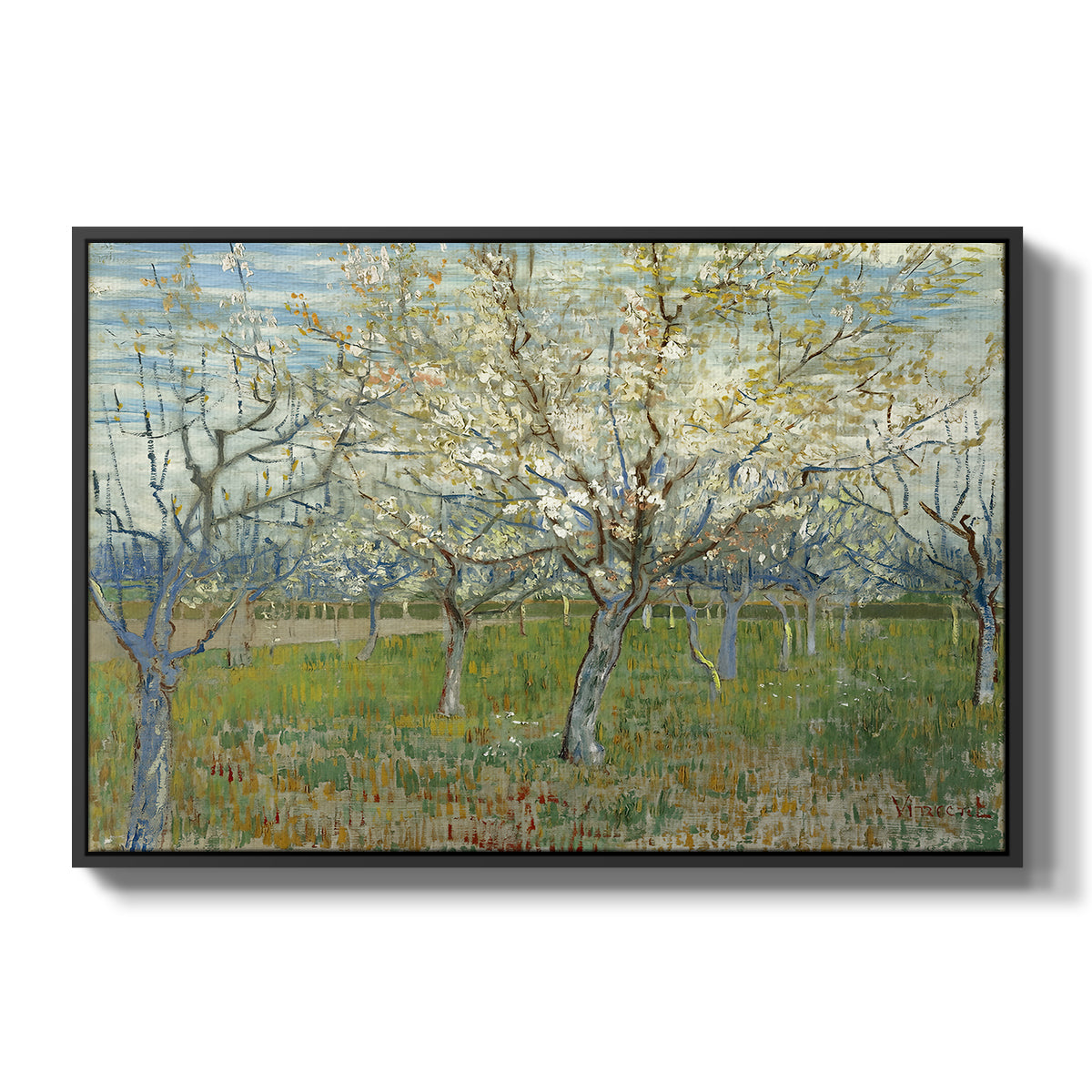 The Pink Orchard, 1888 - Floater Framed Canvas Print