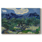 Canvas art print portraying an olive grove with twisted trees set before distant mountain range, set against a white background