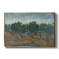 Olive Trees, 1889 - Floater Framed Canvas Print