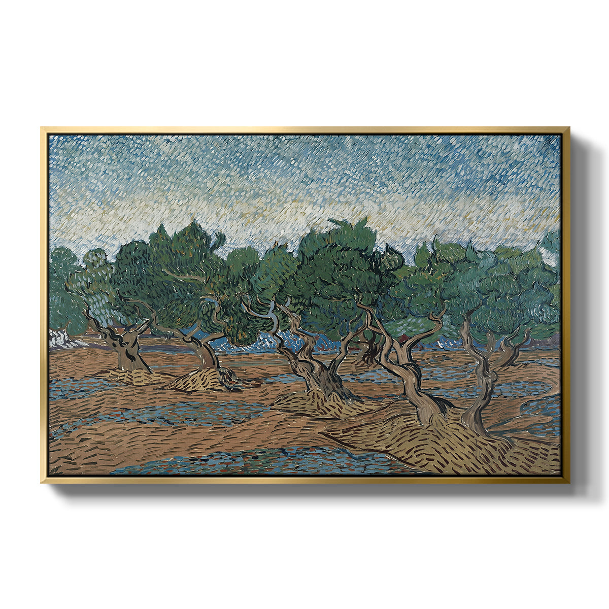 Olive Trees, 1889 - Floater Framed Canvas Print