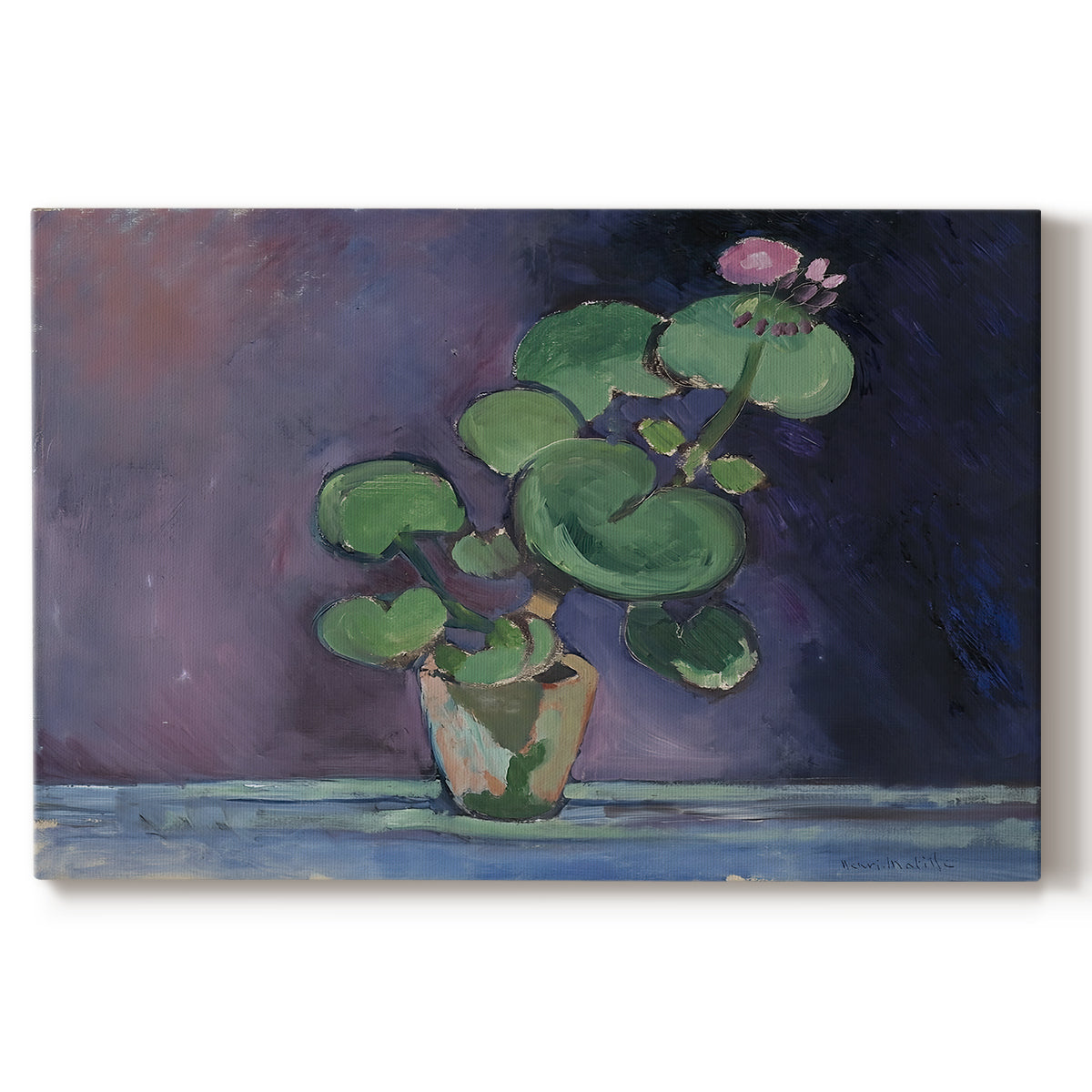 Canvas art print portraying a potted geranium with green leaves and blossoms against a dark background, set against a white background