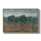 Olive Trees, 1889 - Floater Framed Canvas Print