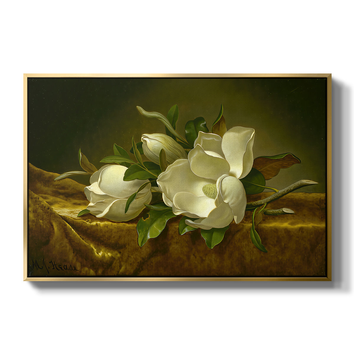 Magnolias on Gold Velvet Cloth, c. 1888-1890 - Floater Framed Canvas Print