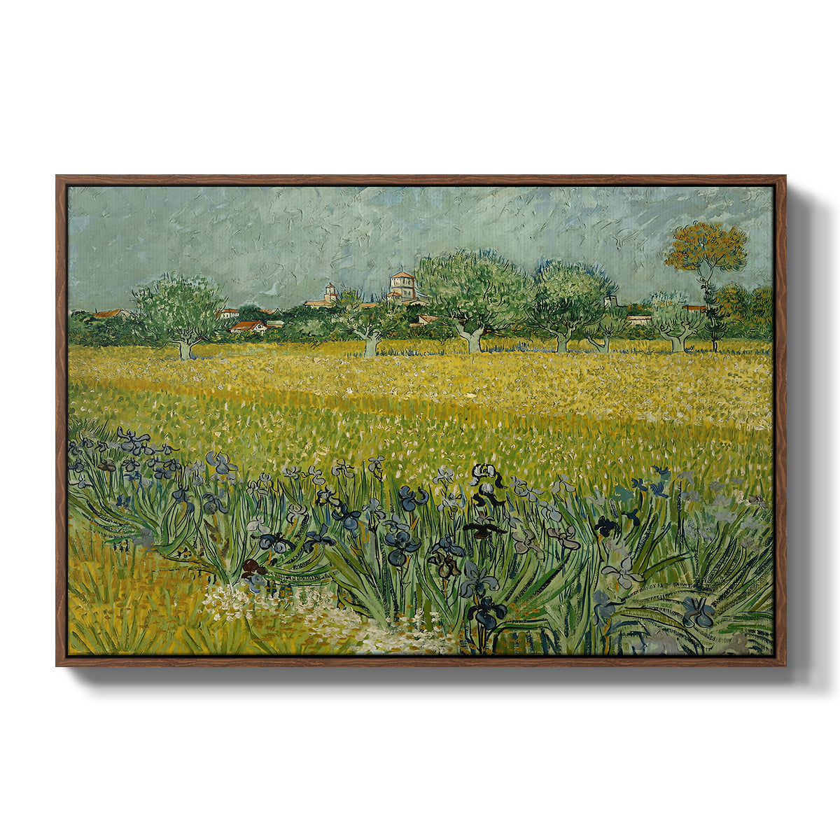 Field with Irises near Arles, 1888 - Floater Framed Canvas Print