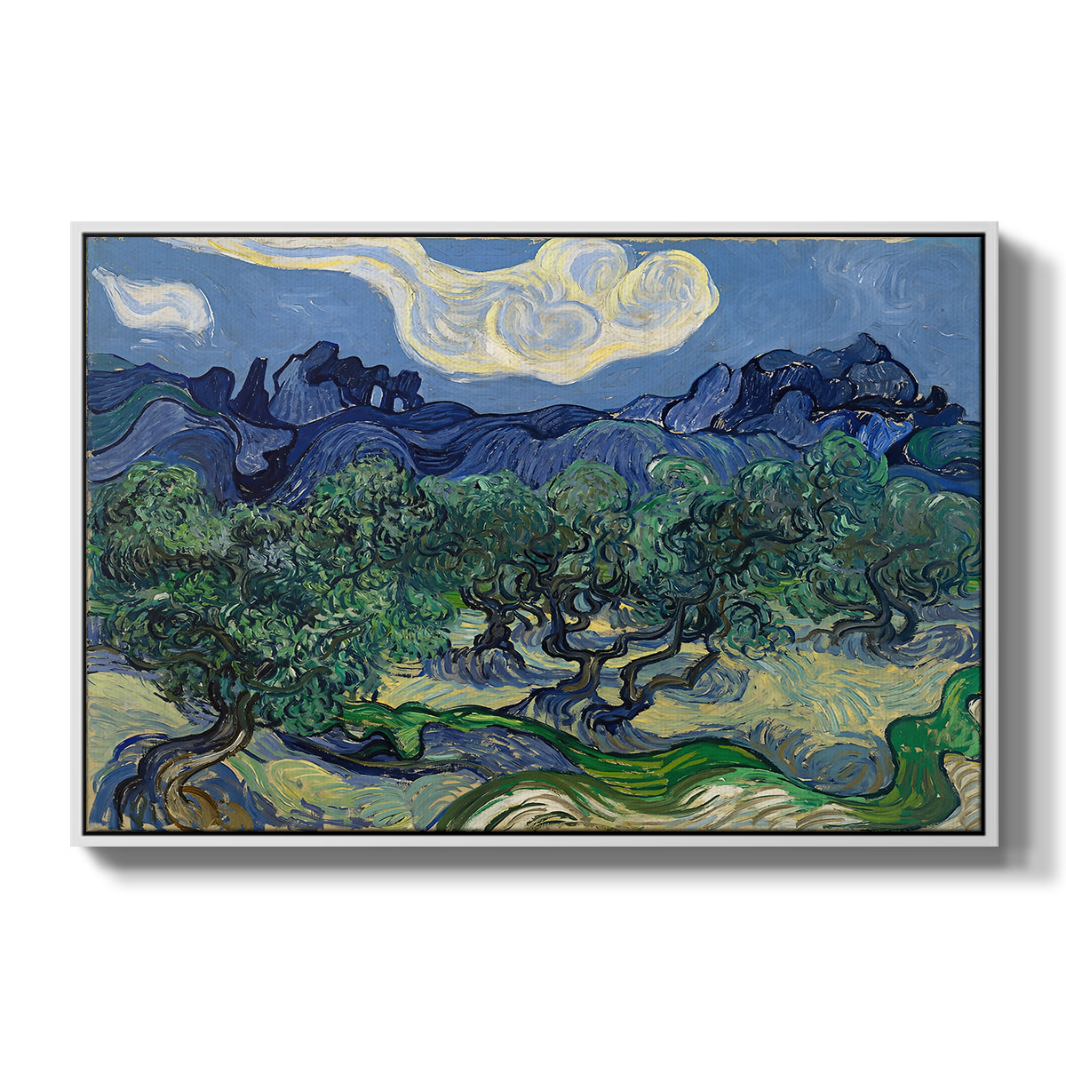 Olive Trees with the Alpilles in the Background, 1889 - Floater Framed Canvas Print