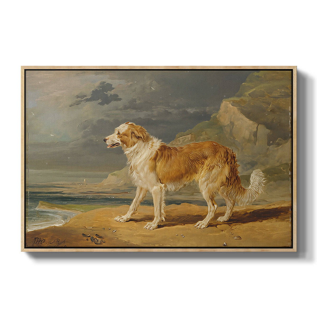 Rough-Coated Collie, 1809 - Floater Framed Canvas Print