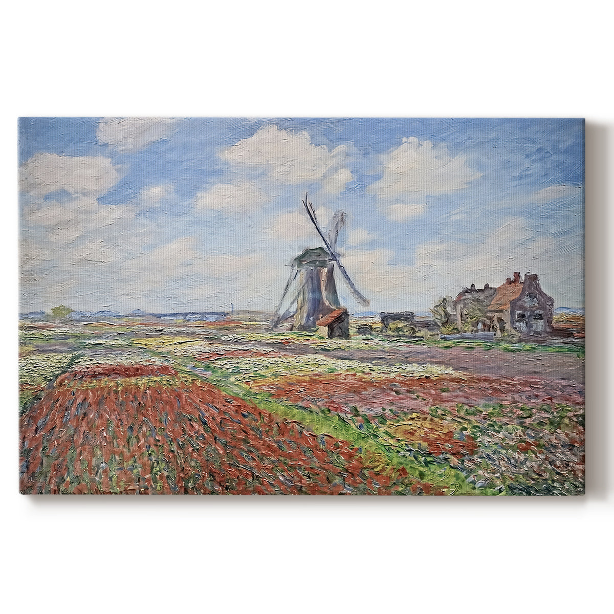 Canvas art print portraying colorful rows of tulip fields leading toward distant windmill, set against a white background