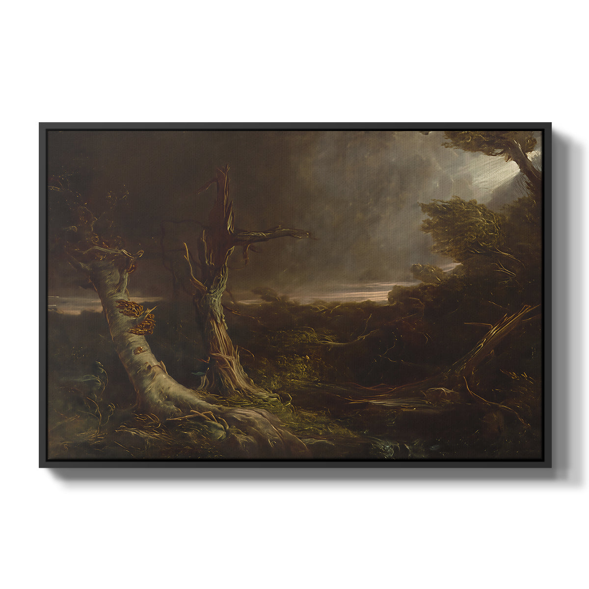 Tornado in an American Forest, 1835 - Floater Framed Canvas Print