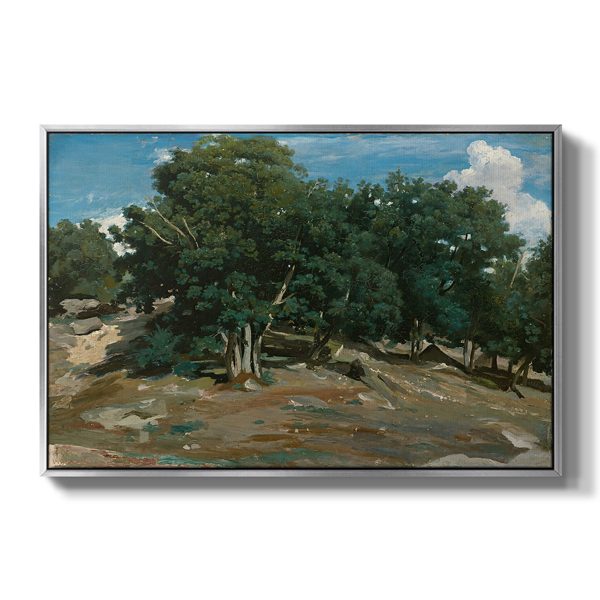 Fontainebleau: Oak Trees at Bas-Bréau, c. 1830-1835 - Floater Framed Canvas Print