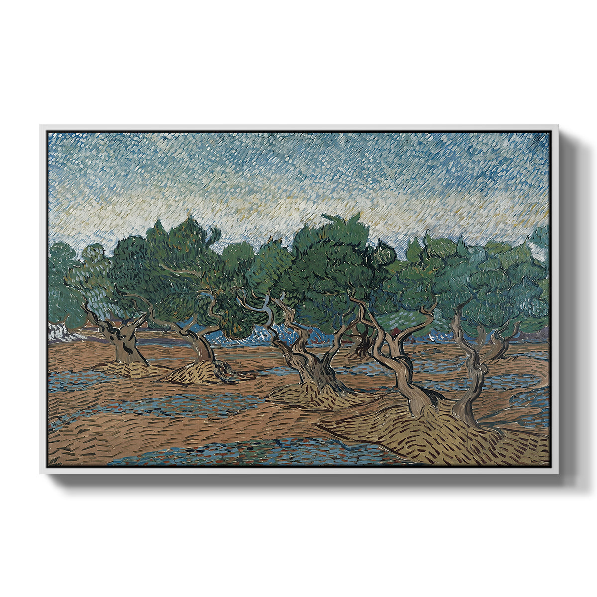 Olive Trees, 1889 - Floater Framed Canvas Print