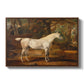 Grey Arabian Stallion, Property of Sir Watkin Williams-Wynn, c. 1817 - Floater Framed Canvas Print