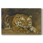 Canvas art print portraying a tiger lying in resting position with detailed form, set against a white background