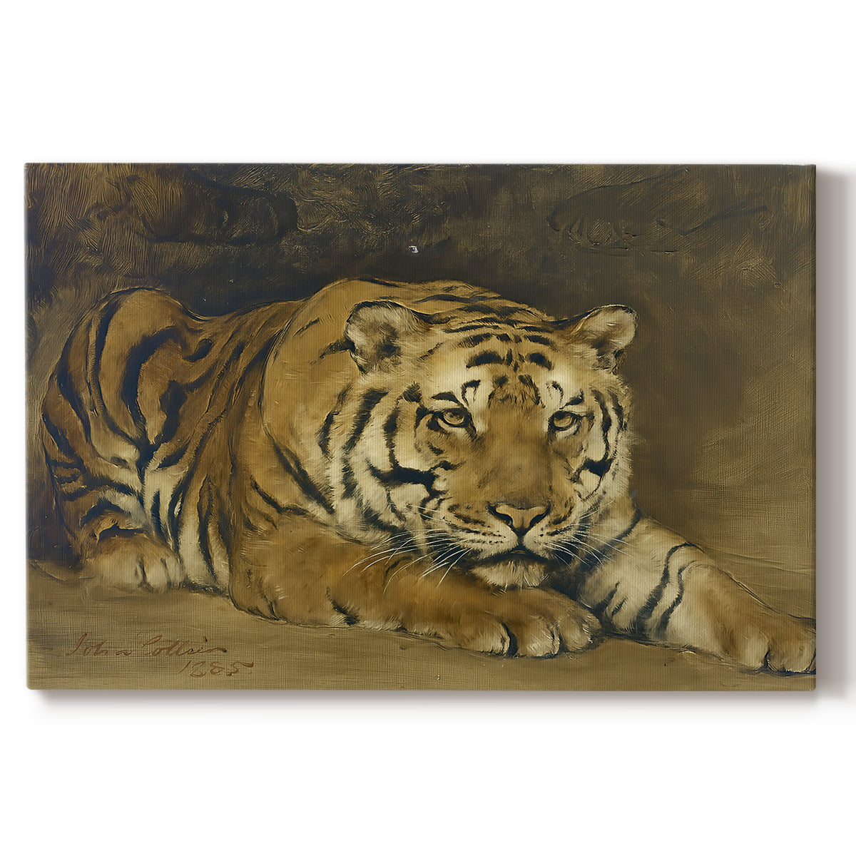 Canvas art print portraying a tiger lying in resting position with detailed form, set against a white background