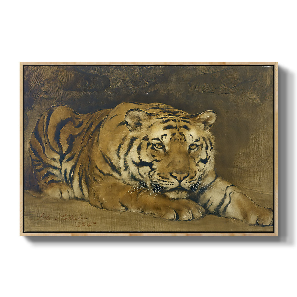 Study of a Tiger for Circe, 1885 - Floater Framed Canvas Print