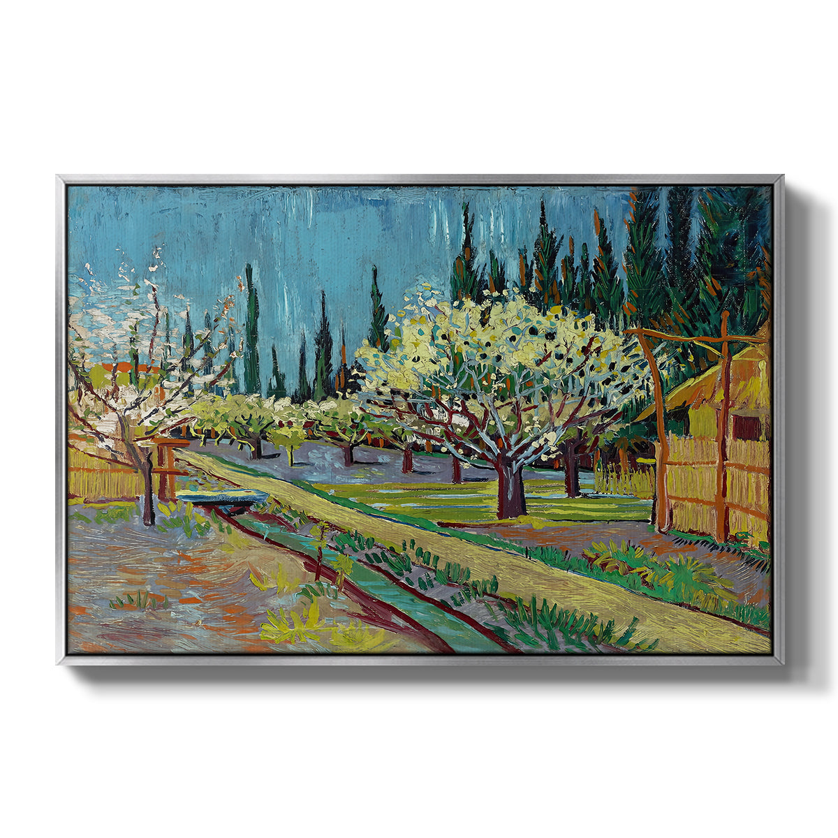Orchard in Blossom, Bordered by Cypresses, 1888 - Floater Framed Canvas Print