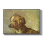 Cliper, the Artist's Dog, 1895 - Floater Framed Canvas Print