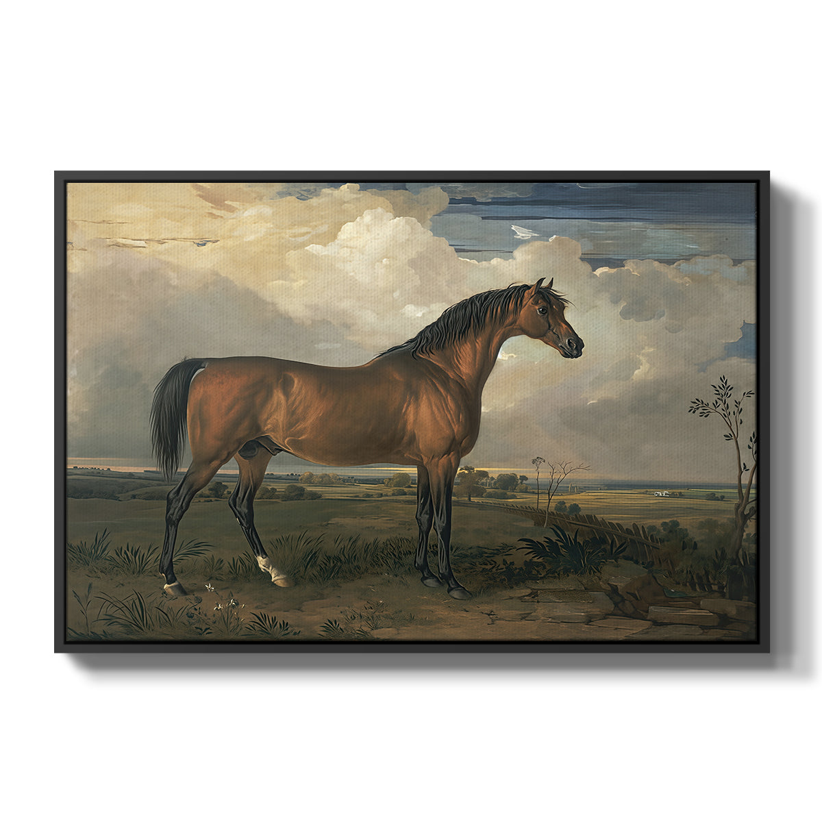 Eagle, A Celebrated Stallion, 1809 - Floater Framed Canvas Print