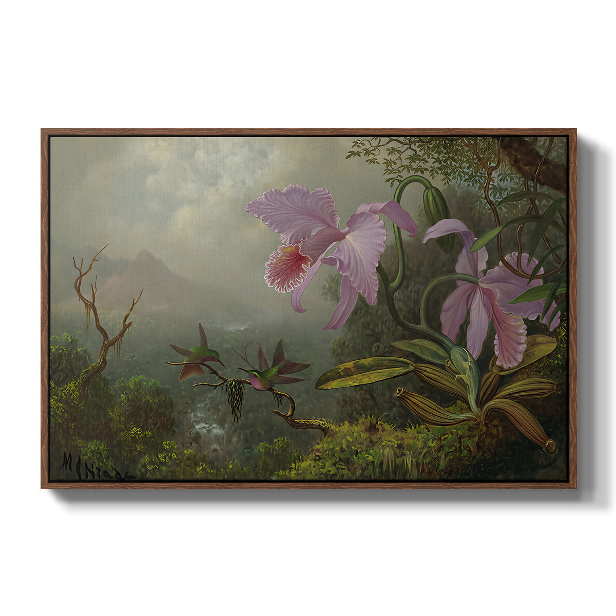 Two Sun Angel Hummingbirds on a Branch, c. 1890-1904 - Floater Framed Canvas Print
