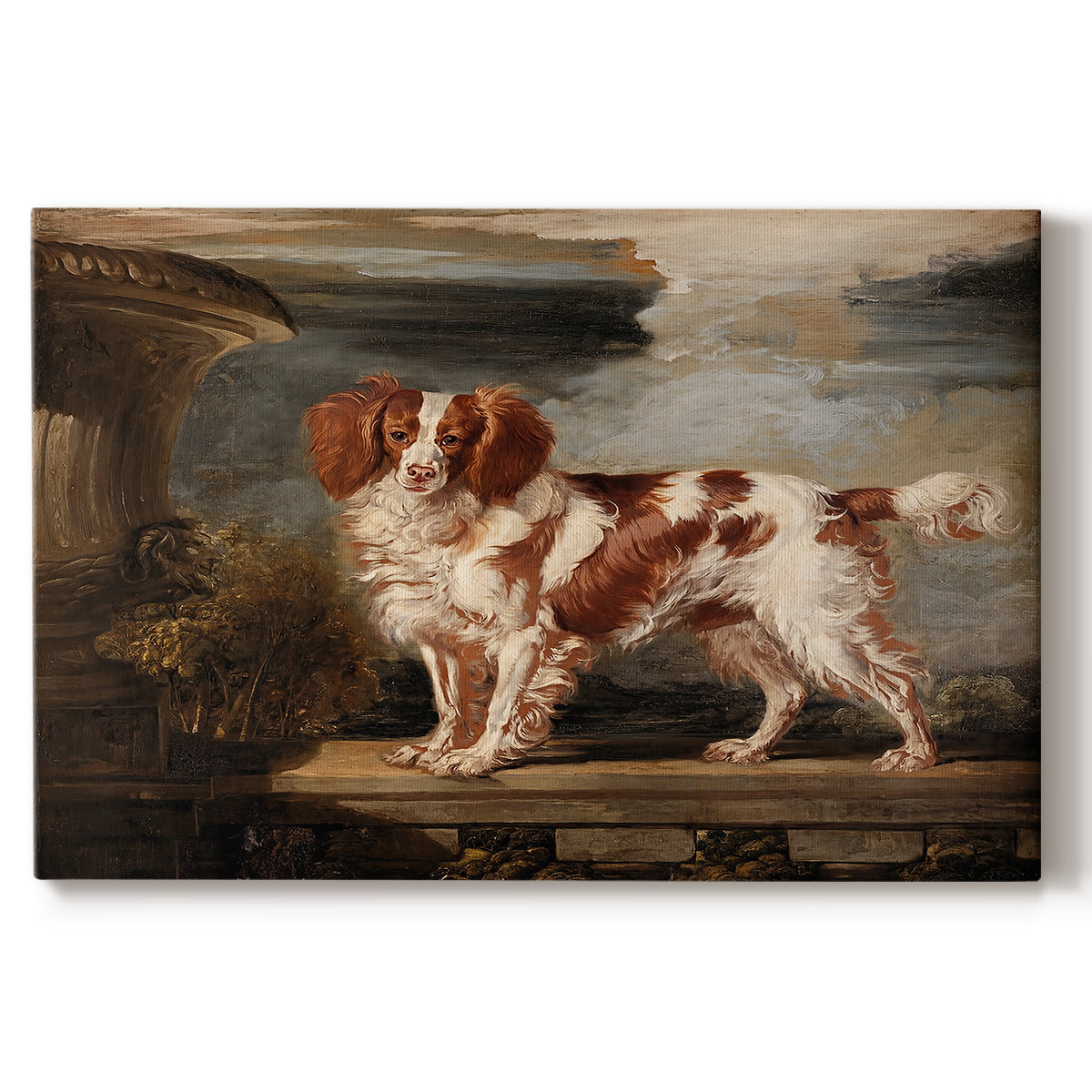 Canvas art print portraying a spaniel dog resting in landscape with attentive expression, set against a white background