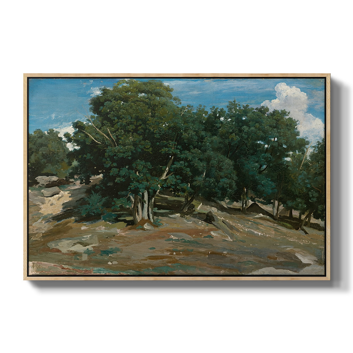 Fontainebleau: Oak Trees at Bas-Bréau, c. 1830-1835 - Floater Framed Canvas Print
