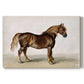 Canvas art print portraying a sturdy cart horse standing in profile against plain background, set against a white background