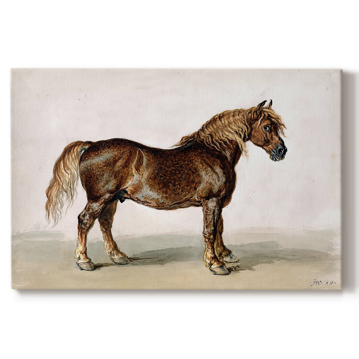 Canvas art print portraying a sturdy cart horse standing in profile against plain background, set against a white background
