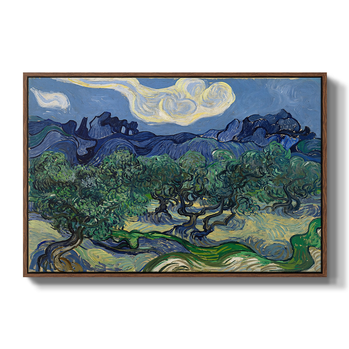 Olive Trees with the Alpilles in the Background, 1889 - Floater Framed Canvas Print