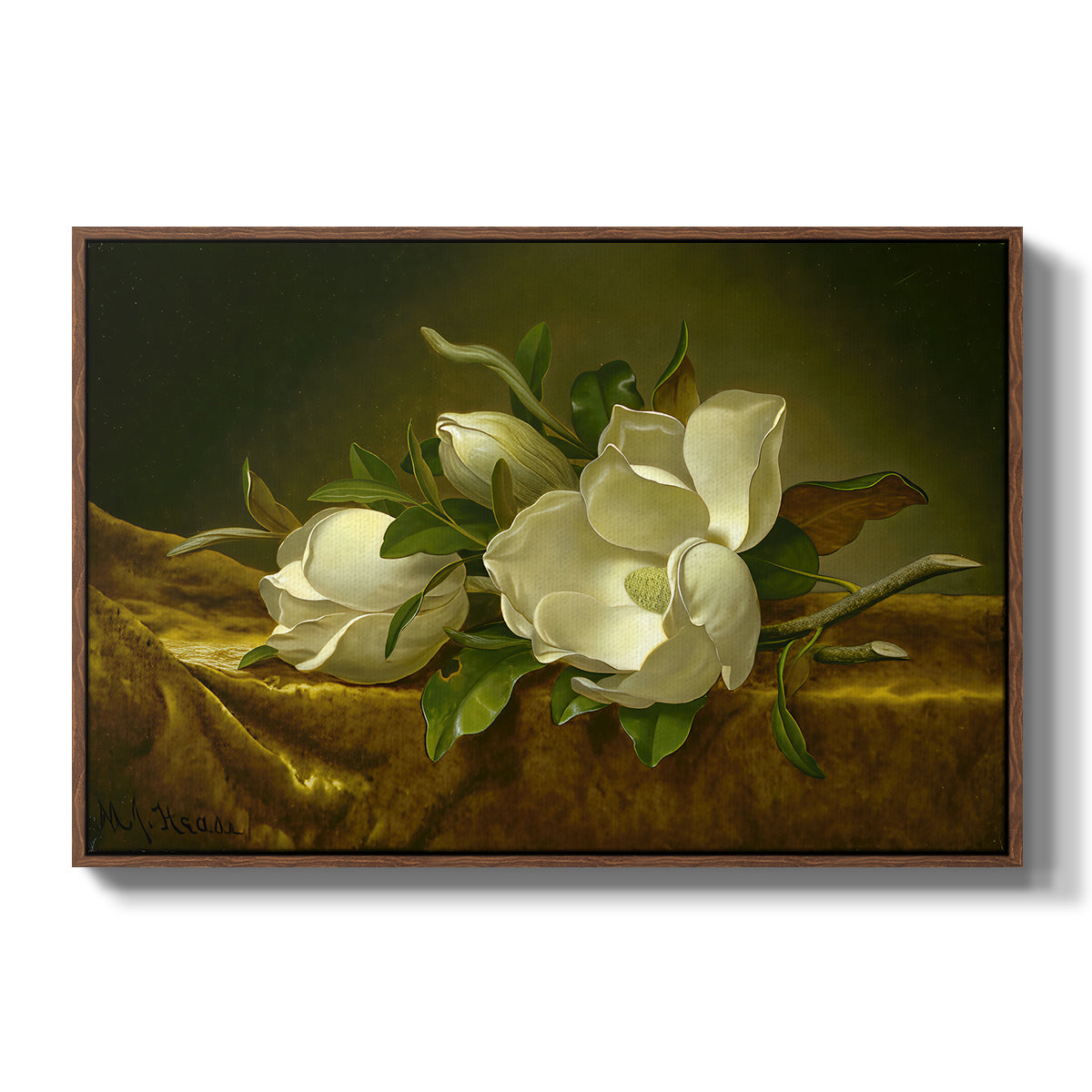 Magnolias on Gold Velvet Cloth, c. 1888-1890 - Floater Framed Canvas Print
