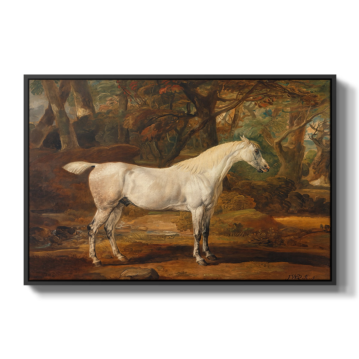 Grey Arabian Stallion, Property of Sir Watkin Williams-Wynn, c. 1817 - Floater Framed Canvas Print