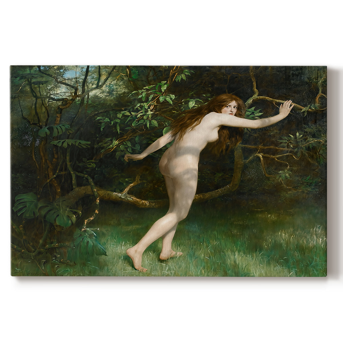 Canvas art print portraying a nude female figure standing in natural setting, set against a white background