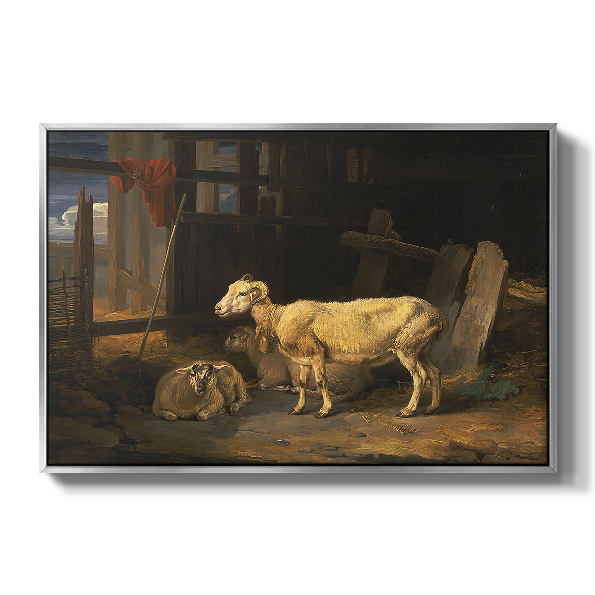 Sheep in a Stable, 1810 - Floater Framed Canvas Print