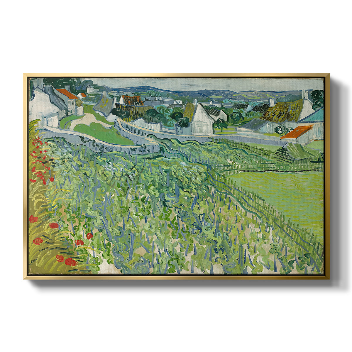 Vineyards at Auvers, 1890 - Floater Framed Canvas Print