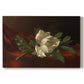 Canvas art print portraying a white magnolia bloom resting on red velvet surface, set against a white background