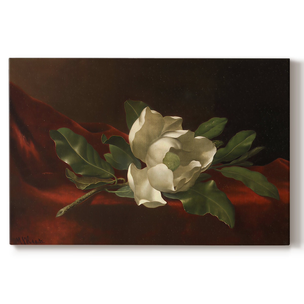 Canvas art print portraying a white magnolia bloom resting on red velvet surface, set against a white background
