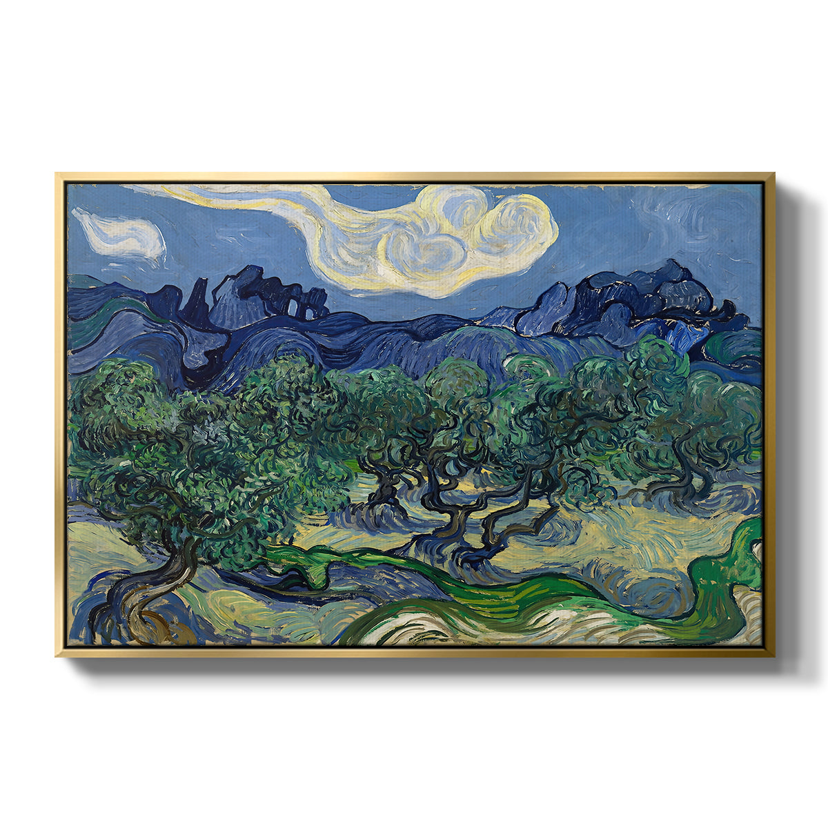 Olive Trees with the Alpilles in the Background, 1889 - Floater Framed Canvas Print
