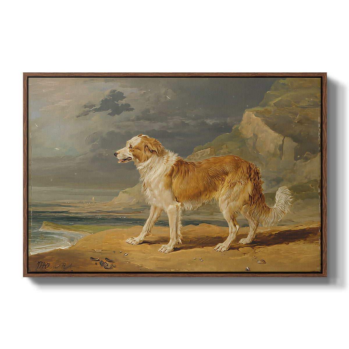 Rough-Coated Collie, 1809 - Floater Framed Canvas Print
