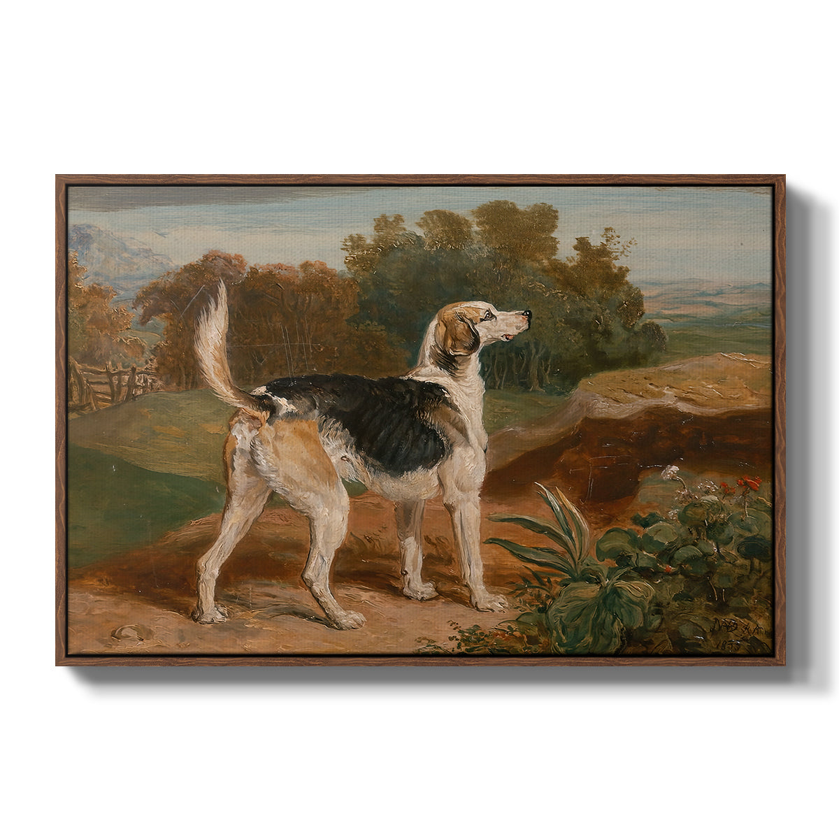 Ravager, One of the Lambton Hounds, 1835 - Floater Framed Canvas Print