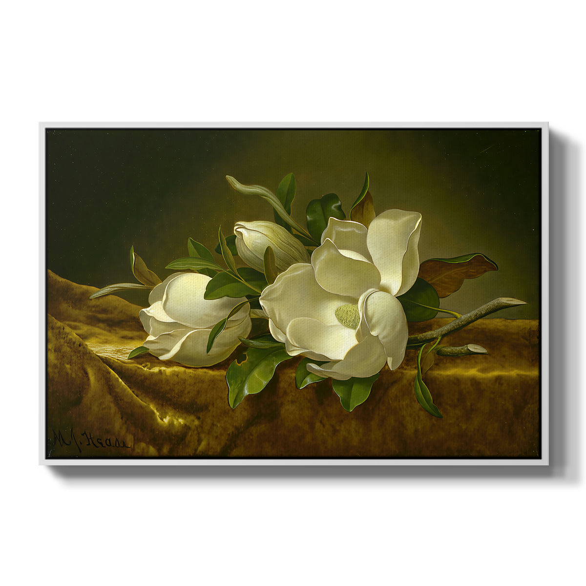 Magnolias on Gold Velvet Cloth, c. 1888-1890 - Floater Framed Canvas Print
