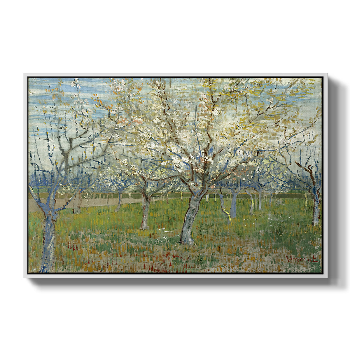 The Pink Orchard, 1888 - Floater Framed Canvas Print