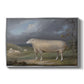 A Border Leicester Ewe, c. 1795-1800 - Floater Framed Canvas Print