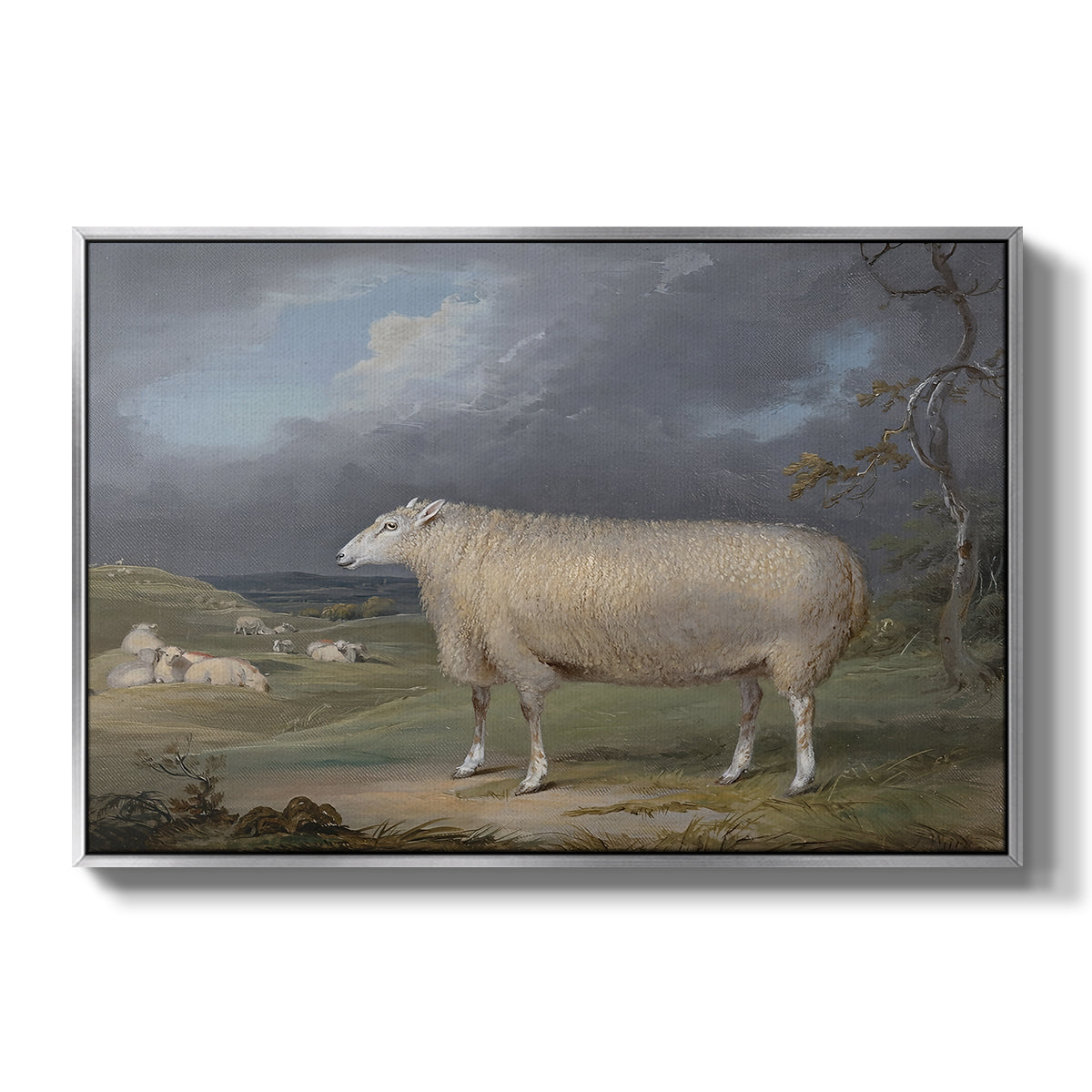 A Border Leicester Ewe, c. 1795-1800 - Floater Framed Canvas Print