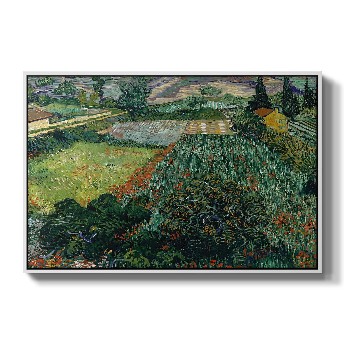 Field with Poppies, Saint-Rémy, 1889 - Floater Framed Canvas Print