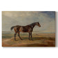 Canvas art print portraying a racehorse standing near coastal landscape with distant water, set against a white background