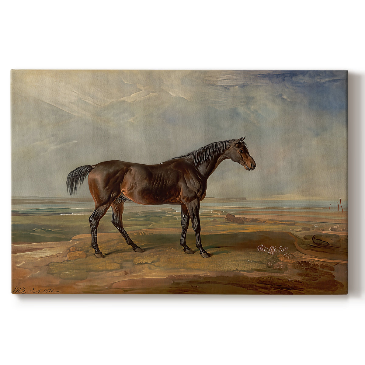Canvas art print portraying a racehorse standing near coastal landscape with distant water, set against a white background