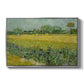 Field with Irises near Arles, 1888 - Floater Framed Canvas Print