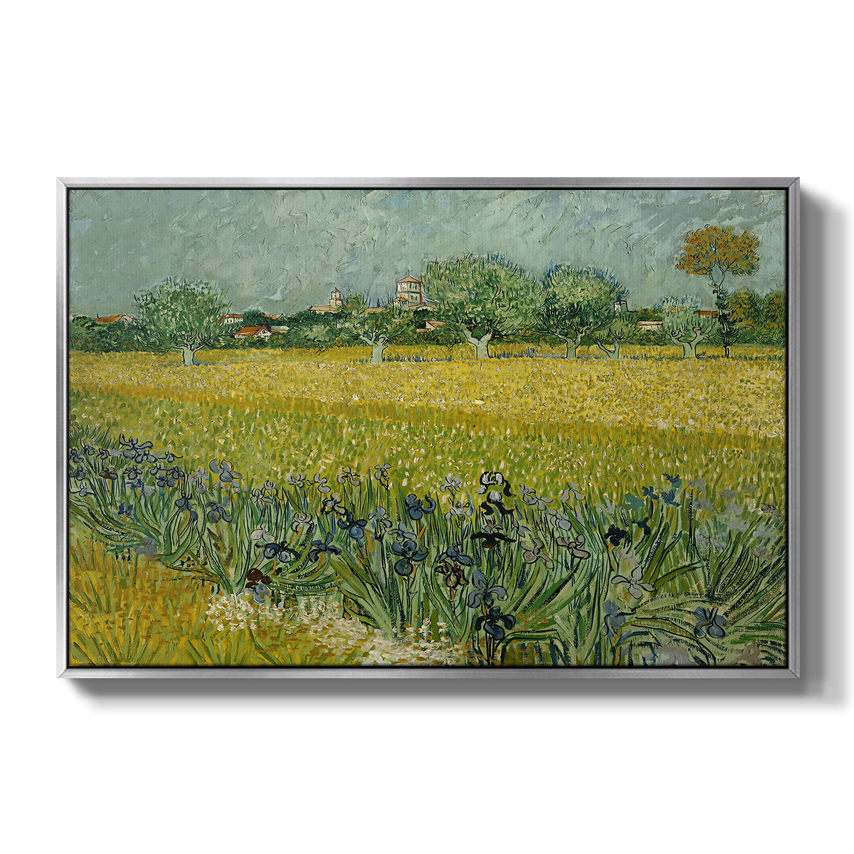 Field with Irises near Arles, 1888 - Floater Framed Canvas Print