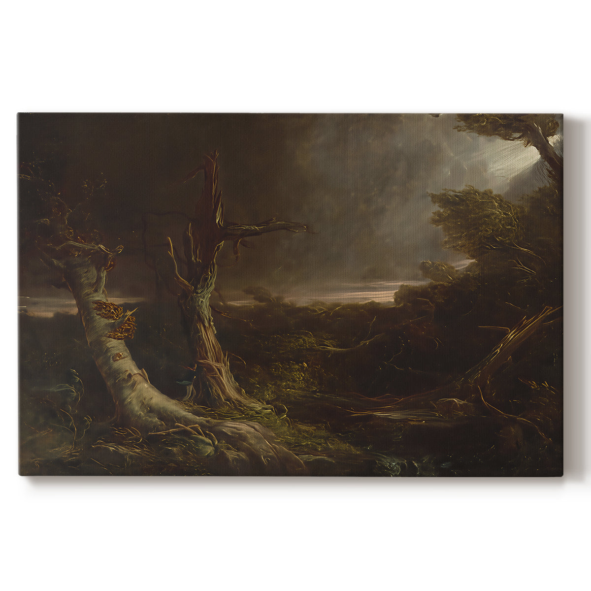 Canvas art print portraying a swirling tornado cutting through forest landscape with dark storm clouds, set against a white background